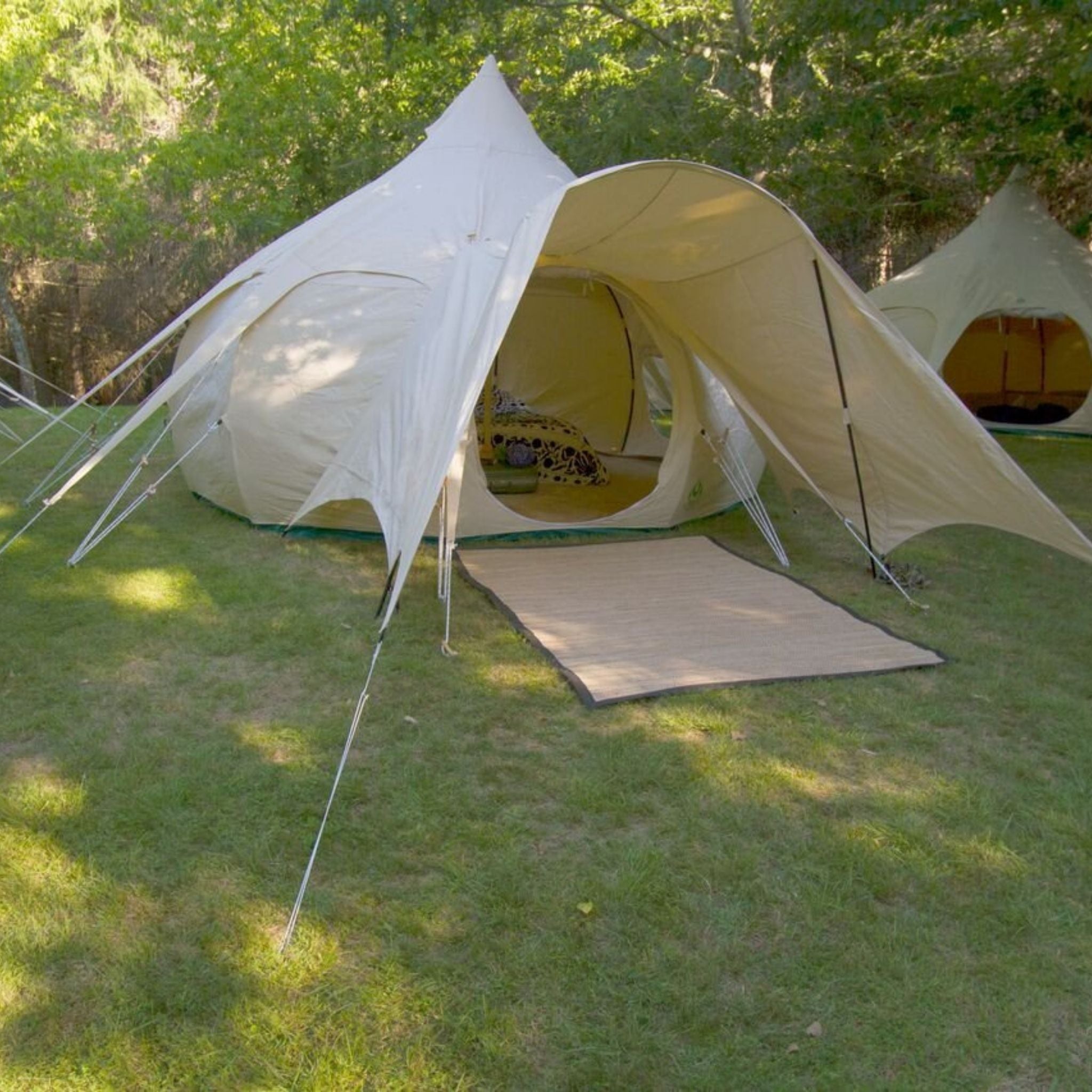 Porch Awning
