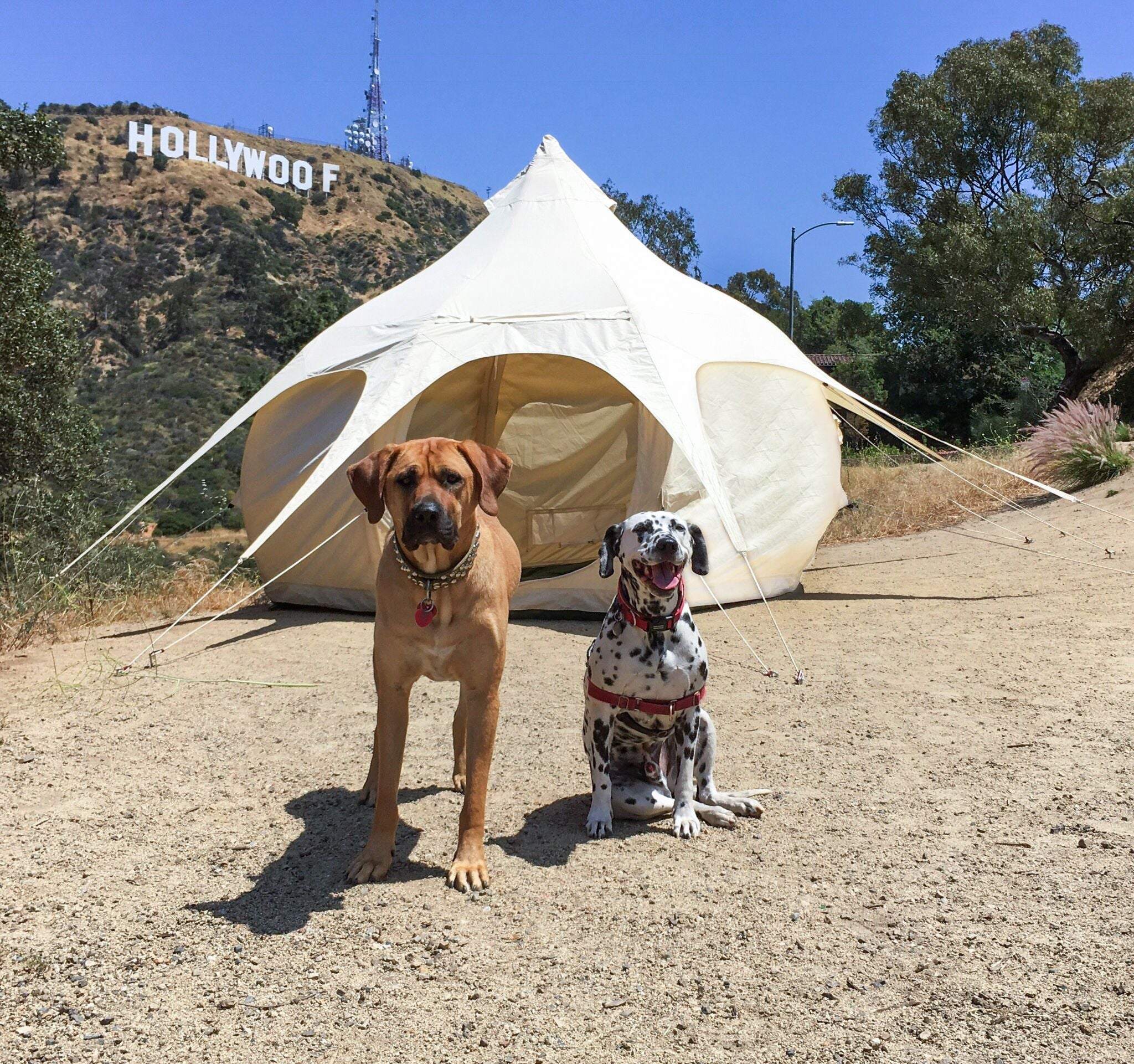 Lotus Belle Air Beam Bud Tent
